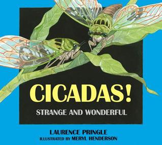 Cicadas!: Strange and Wonderful (Hardcover)