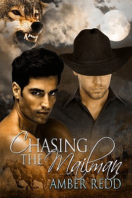 Chasing the Mailman (Stone Trail, #1)
