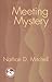 Meeting Mystery by Nathan D. Mitchell