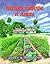 Vegetable Gardening in Florida by James M. Stephens