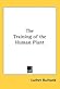 The Training of the Human Plant by Luther Burbank The Training of the Human Plant by Luther Burbank
