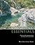 Brushwork Essentials by Mark Christopher Weber Brushwork Essentials by Mark Christopher Weber