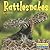 Rattlesnakes (World of REPTILES)