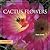 Cactus Flowers (Look West Series)