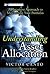 Understanding Asset Allocation by Victor A. Canto