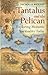 Tantalus and the Pelican: Exploring Monastic Spirituality Today