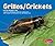 Grillos/crickets (Pebble Plus Bilingual) (Spanish and English Edition)