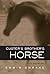 Custer's Brother's Horse