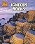 Igneous Rocks (Heinemann Infosearch: Let's Rock)