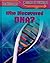 Who Discovered DNA? (Breakthroughs in Science)