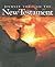 Journey Through the New Testament