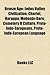 Bronze Age: Indus Valley Civilization, Chariot, Harappa, Mohenjo-Daro, Cemetery H Culture, Proto-Indo-Europeans, Proto-Indo-European Language