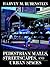 Pedestrian Malls, Streetscapes and Urban Spaces by Harvey M. Rubenstein
