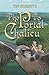 The Portal to Chalicu by Tim Roberts