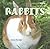 Rabbits (Classroom Pets)