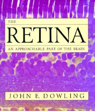The Retina: An Approachable Part of the Brain (Hardcover)