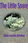 The Little Space by Alicia Suskin Ostriker