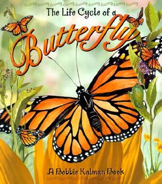 Butterfly (Life Cycle)