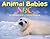 Animal Babies ABC: An Alpha...