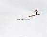 Janne Lehtinen: Sacred Bird Janne Lehtinen: Sacred Bird