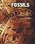 Fossils (Heinemann Infosearch: Let's Rock)