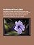 Russian Folklore: Ded Moroz, Russian Traditions and Superstitions, Stenka Razin, Zilant, Bylina, Magic Carpet, Maslenitsa, Alexander Afanasyev