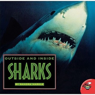 Outside And Inside Sharks (Paperback)