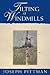 Tilting At Windmills by Joseph Pittman Tilting At Windmills by Joseph Pittman