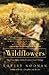 Wildflowers: The First Stor...
