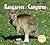 Kangaroos/ Canguros (Baby A...
