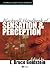 Blackwell Handbook of Sensation and Perception by E. Bruce Goldstein