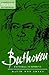Beethoven by David Wyn Jones