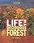 Life in a Deciduous Forest (Ecosystems in Action)