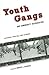 Youth Gangs and Community Intervention by Robert Chaskin