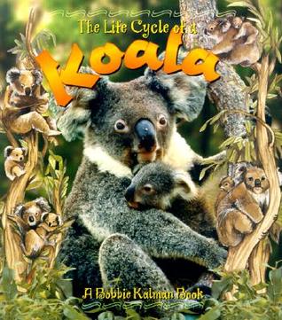 The Life Cycle of a Koala (Paperback)
