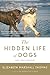 The Hidden Life of Dogs by Elizabeth Marshall Thomas