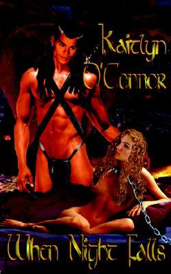 When Night Falls (The Chronicles of Nardyl, #2; Satrins, #2)