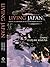 Living Japan: Essays on Everyday Life in Contemporary Society