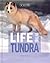 Life in the Tundra (Ecosystems in Action)