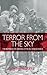 Terror From the Sky by Igor Primoratz