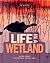 Life in a Wetland (Ecosystems in Action)