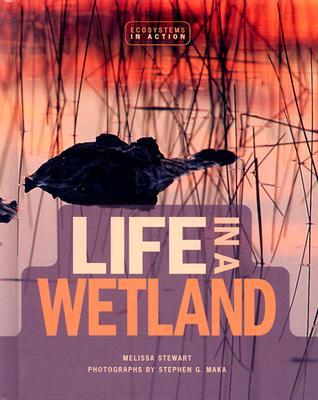 Life in a Wetland (Ecosystems in Action)