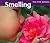 Smelling (The Five Senses)