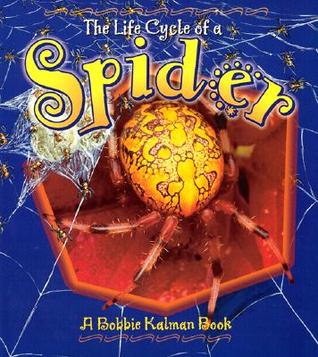 The Life Cycle of a Spider (Paperback)