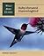 Stackpole Books STACKSP103 WBG Ruby-Throated Hummingbird