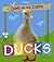 Ducks (QED Down on the Farm)