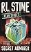 Secret Admirer by R.L. Stine