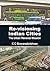 Re-visioning Indian Cities:...