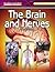 Brain And Nerves (Reading Essentials in Science - Life Science)