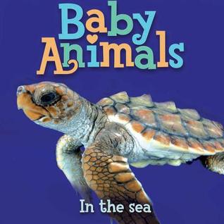Baby Animals In the Sea (Board Book)